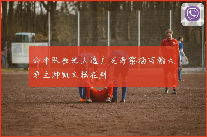 公牛队教练人选广泛考察杨百翰大学主帅凯文杨在列